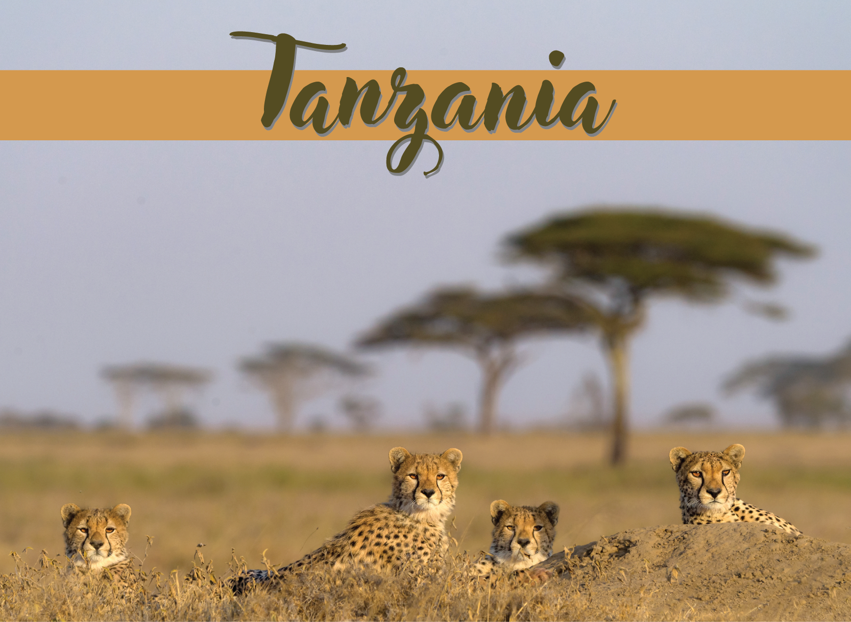 Tanzania