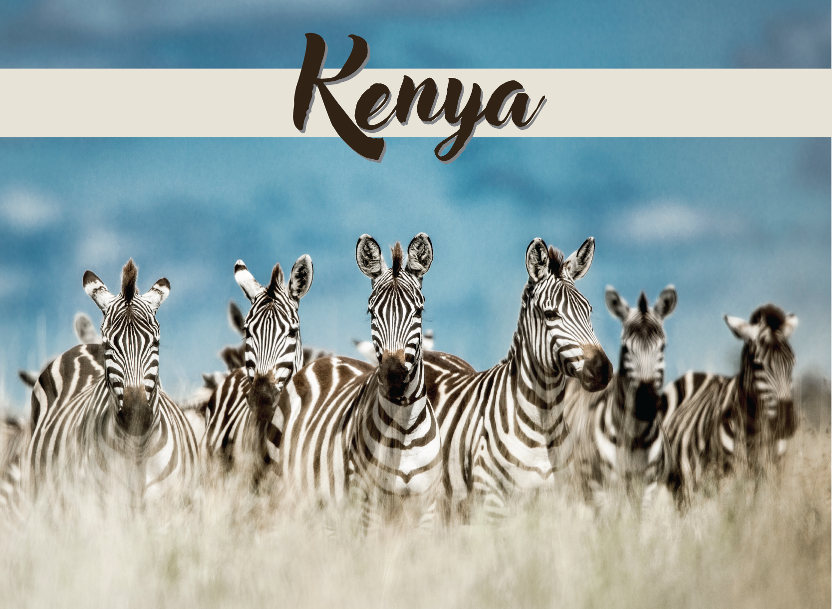 Kenya Hilight